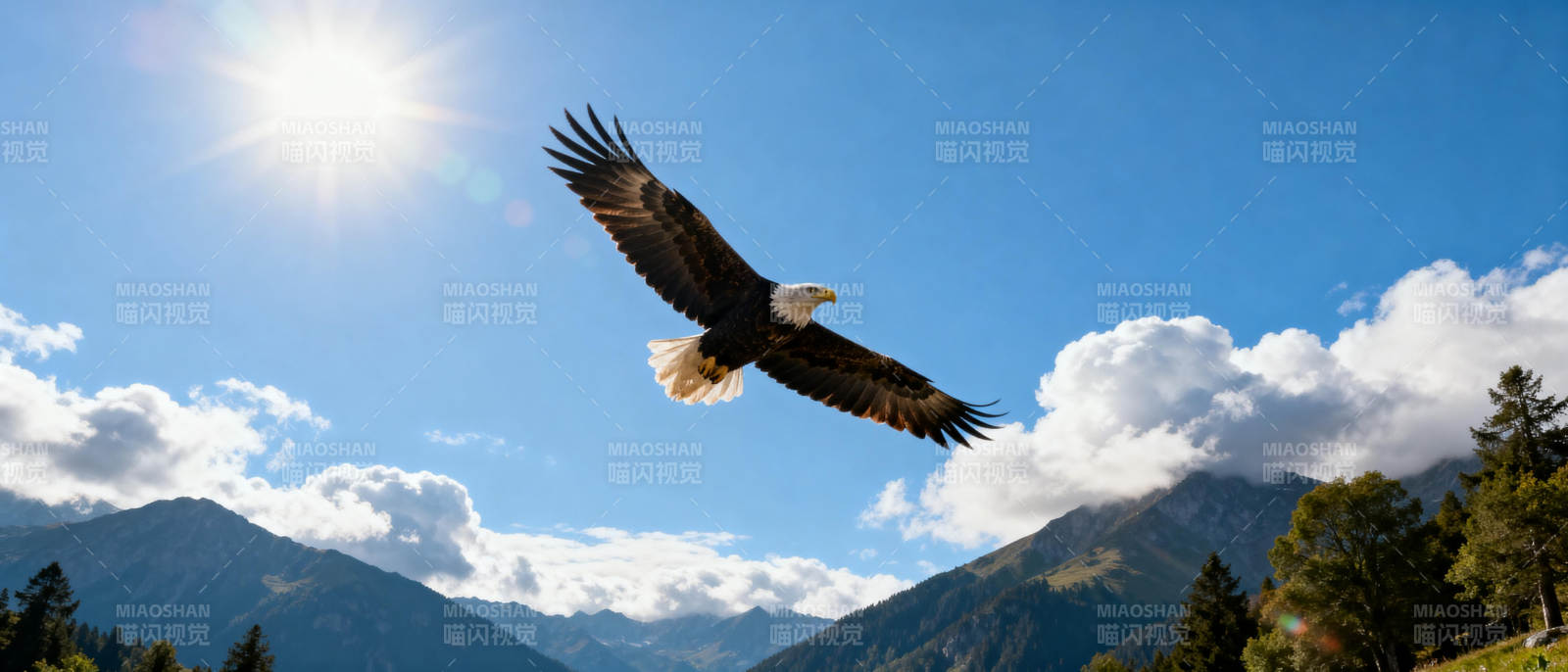 雄鹰翱翔山间图片