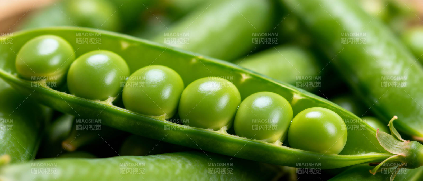 新鲜青豆荚图片