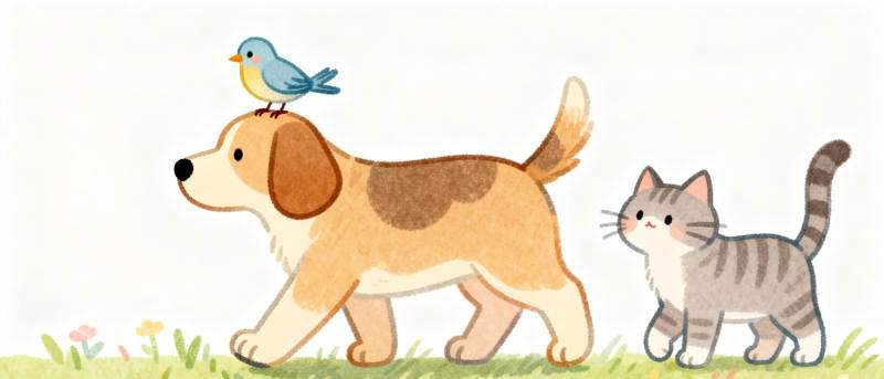 猫狗同行小鸟伴图片