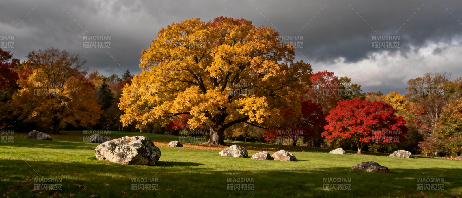 秋日公园美景图片