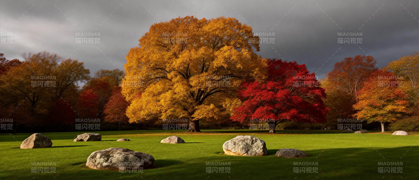 秋林映彩 石静草青图片