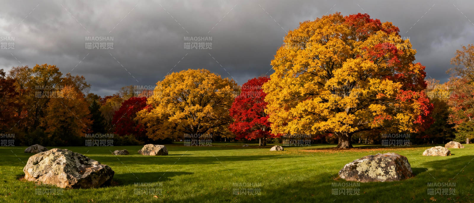 秋色斑斓公园景图片
