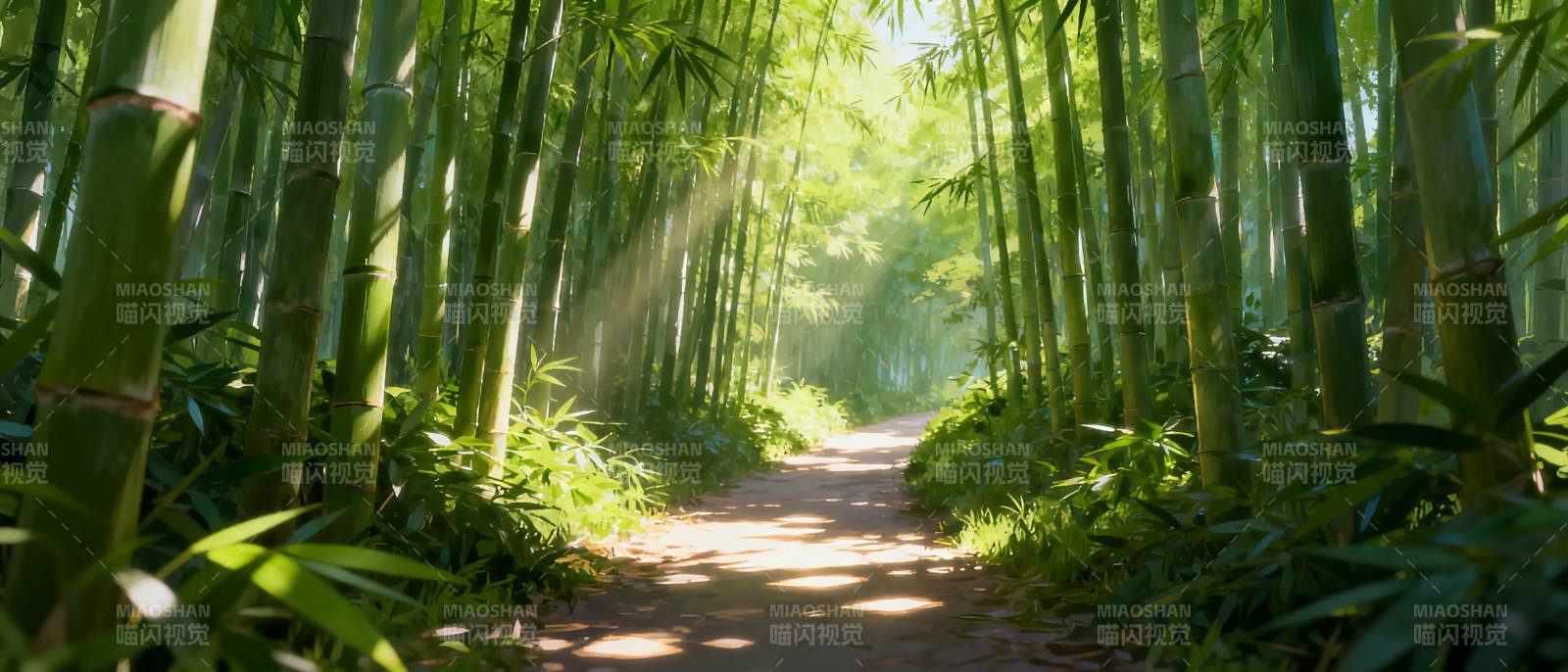 竹林小径图片