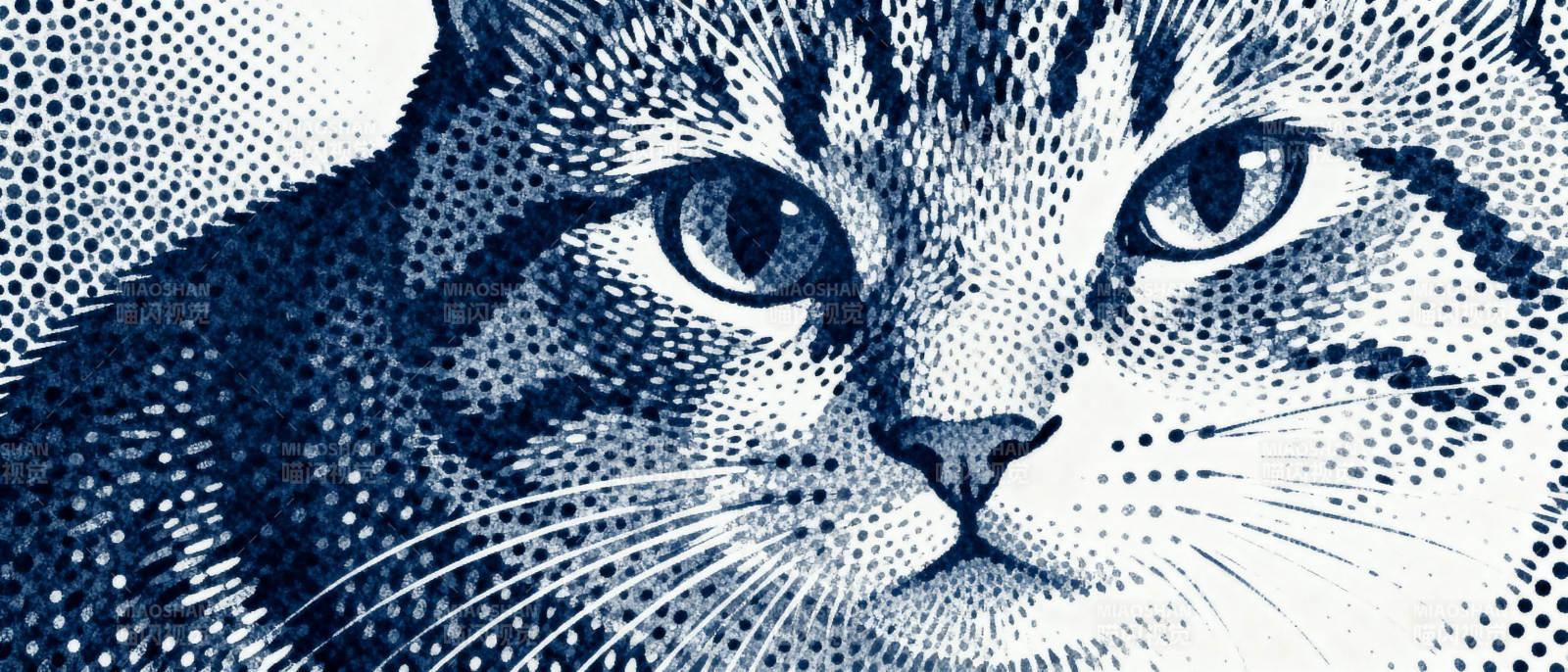 蓝点猫眼图片