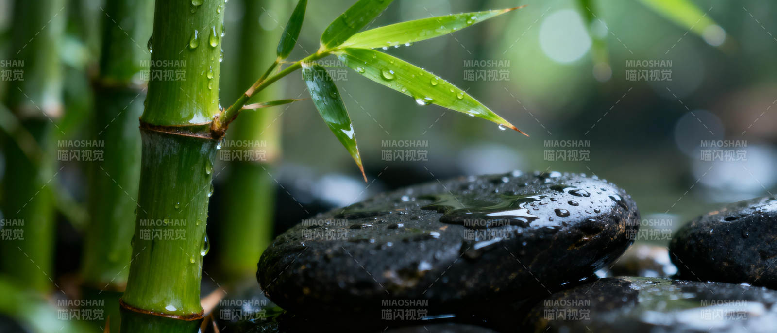 竹影石润 静谧自然图片