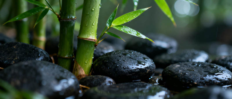 竹影石间水滴图片