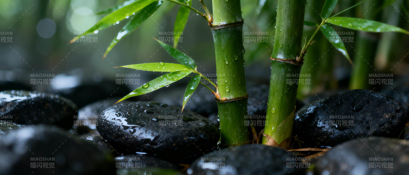 竹影石间水润图片