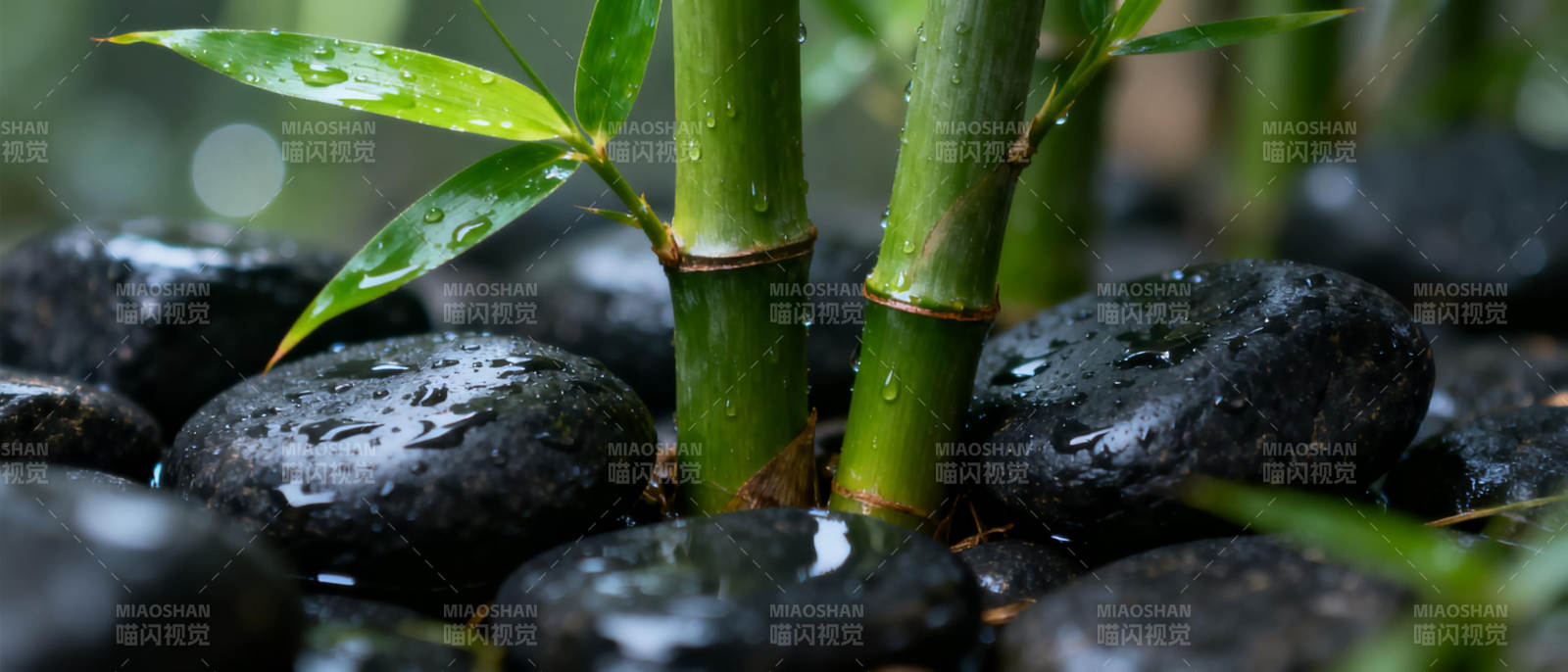 竹影石间水珠图片
