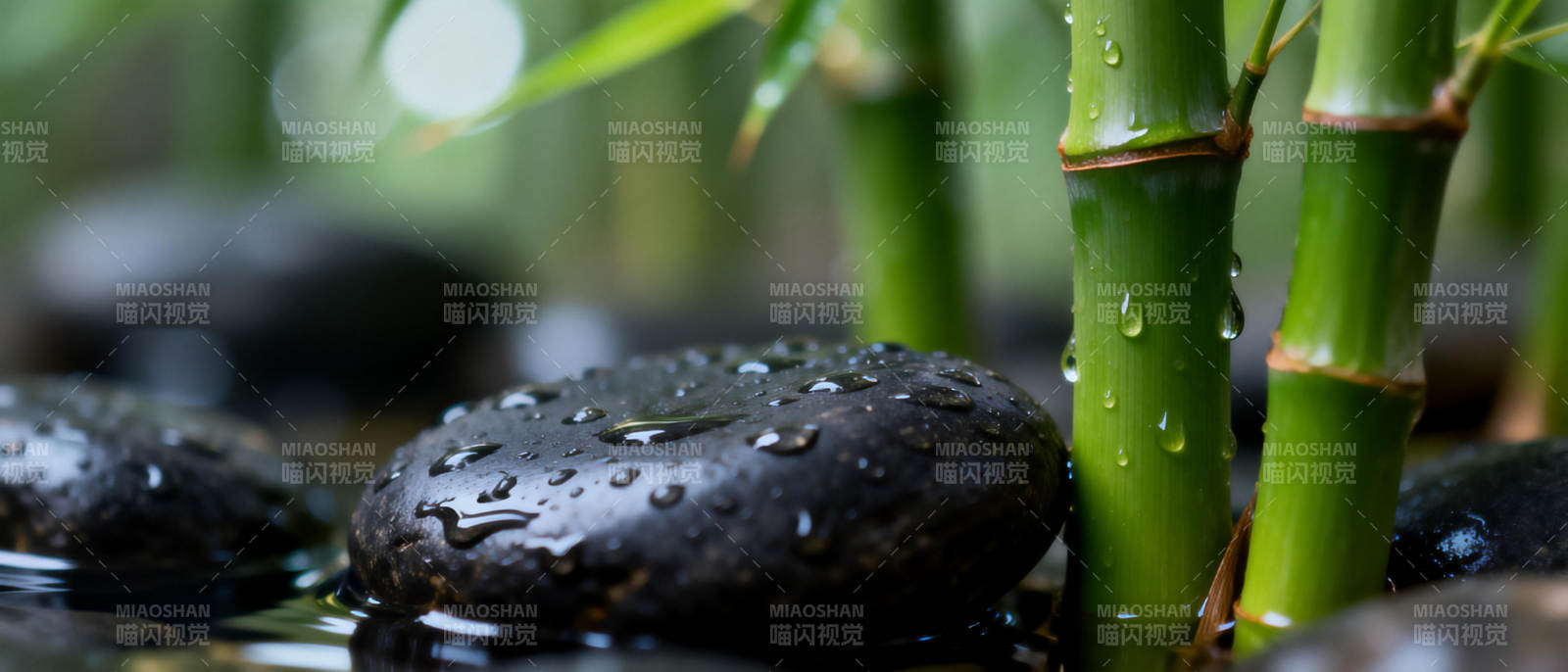 竹影水石静谧图片