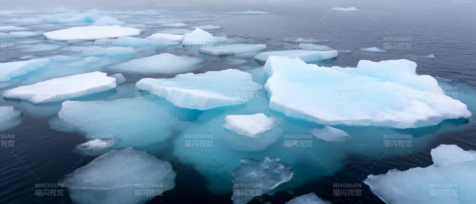 冰海浮冰图片