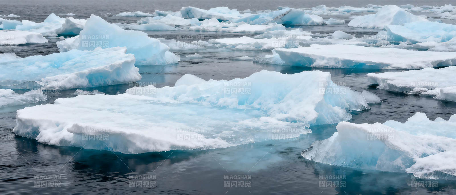冰海浮冰图片