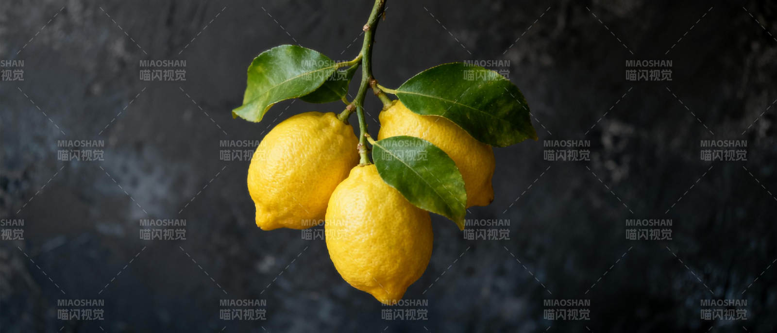 柠檬挂枝头图片