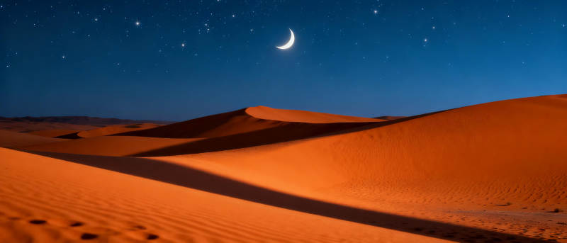 沙漠夜月图片