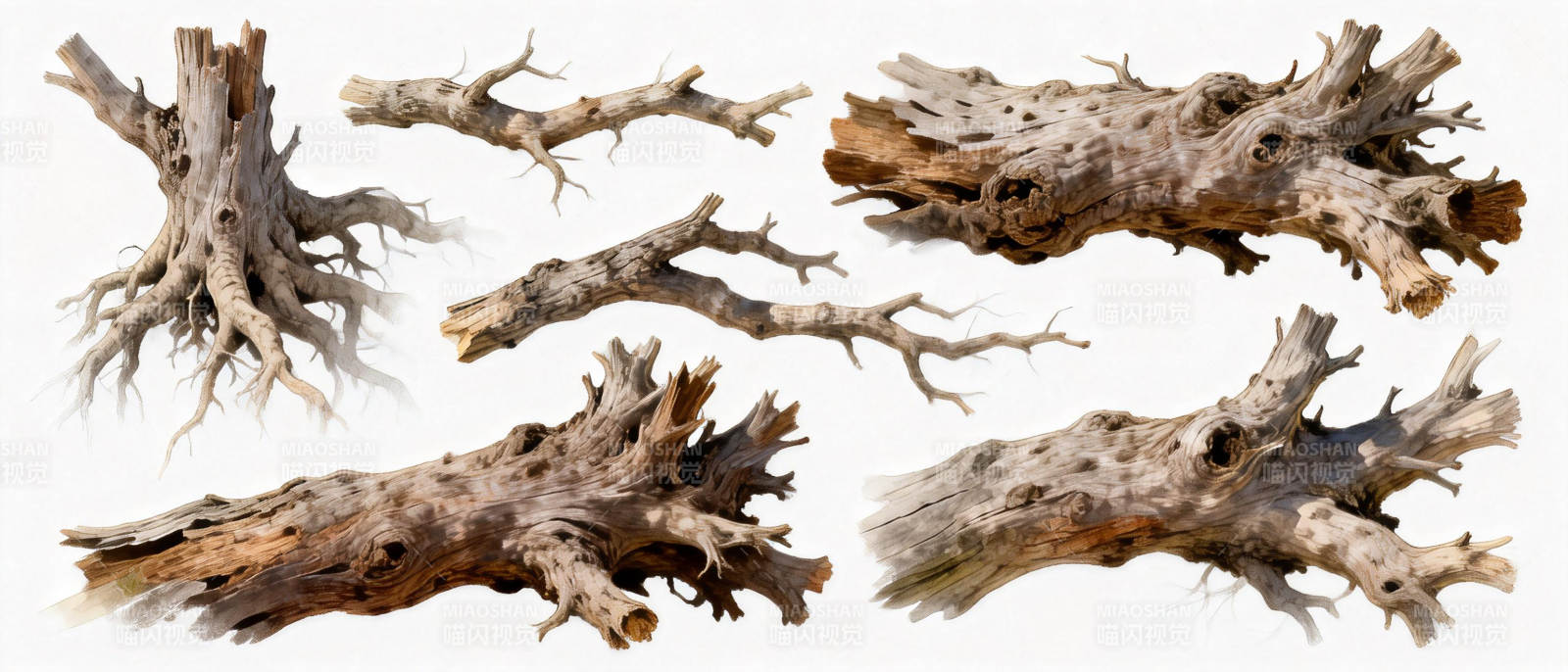 枯木奇形图片