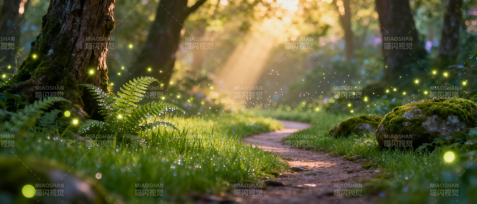 森林小径萤光闪烁图片