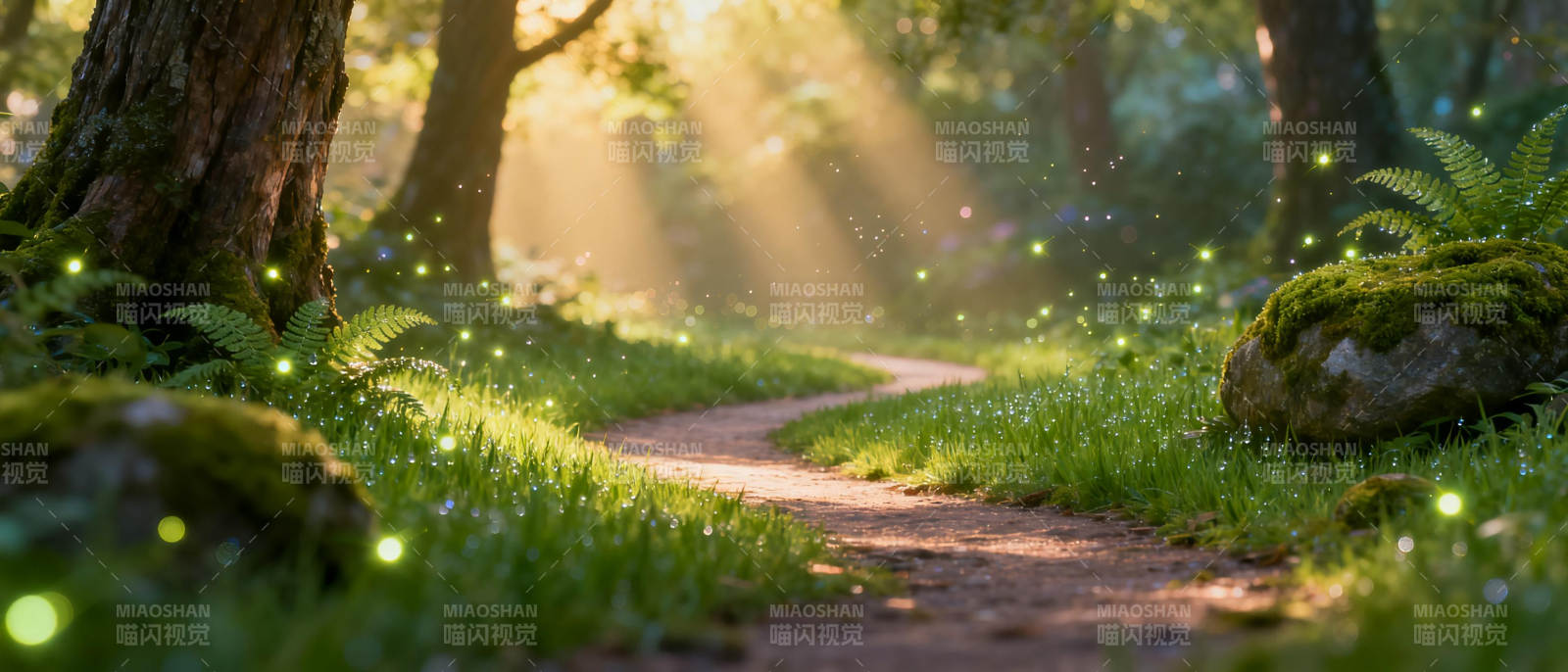 森林小径晨光图片
