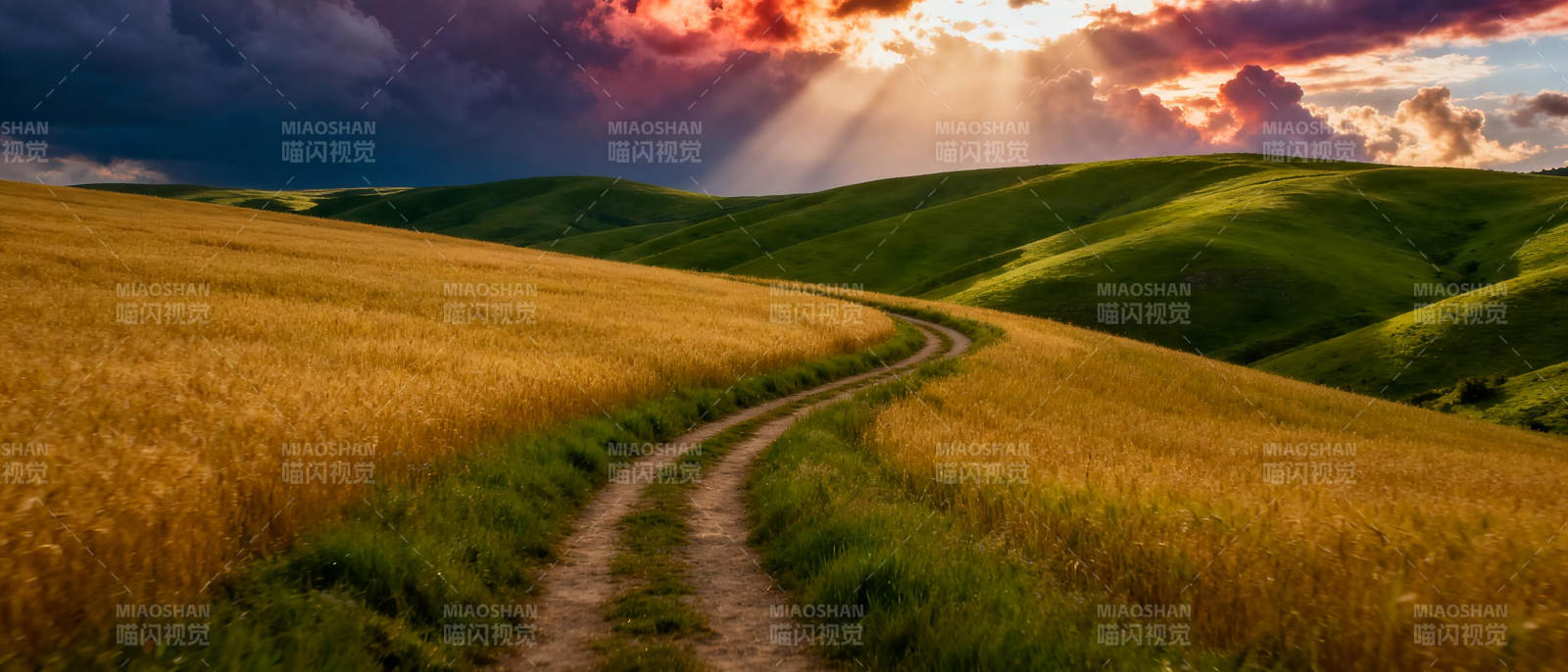 金田小径夕阳照图片