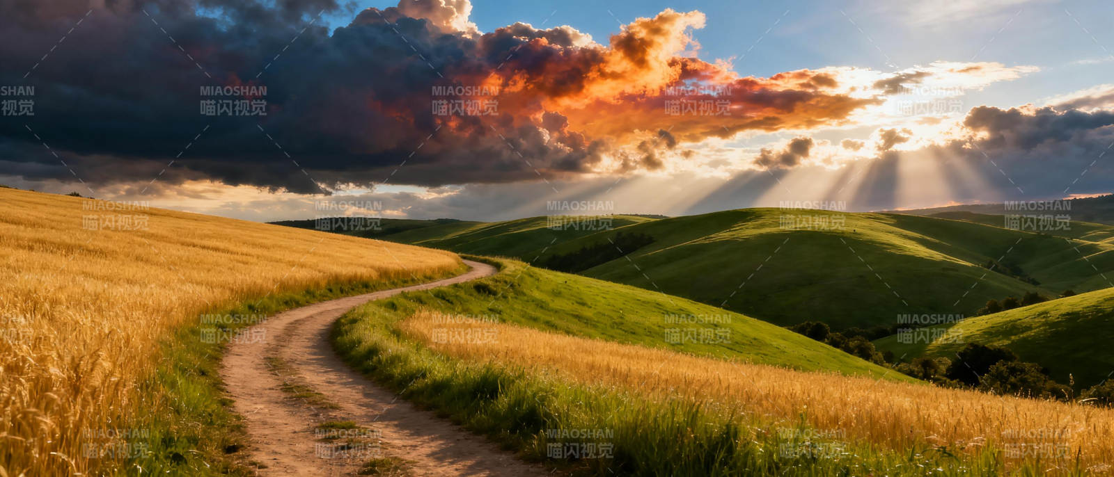 金色麦田小径图片