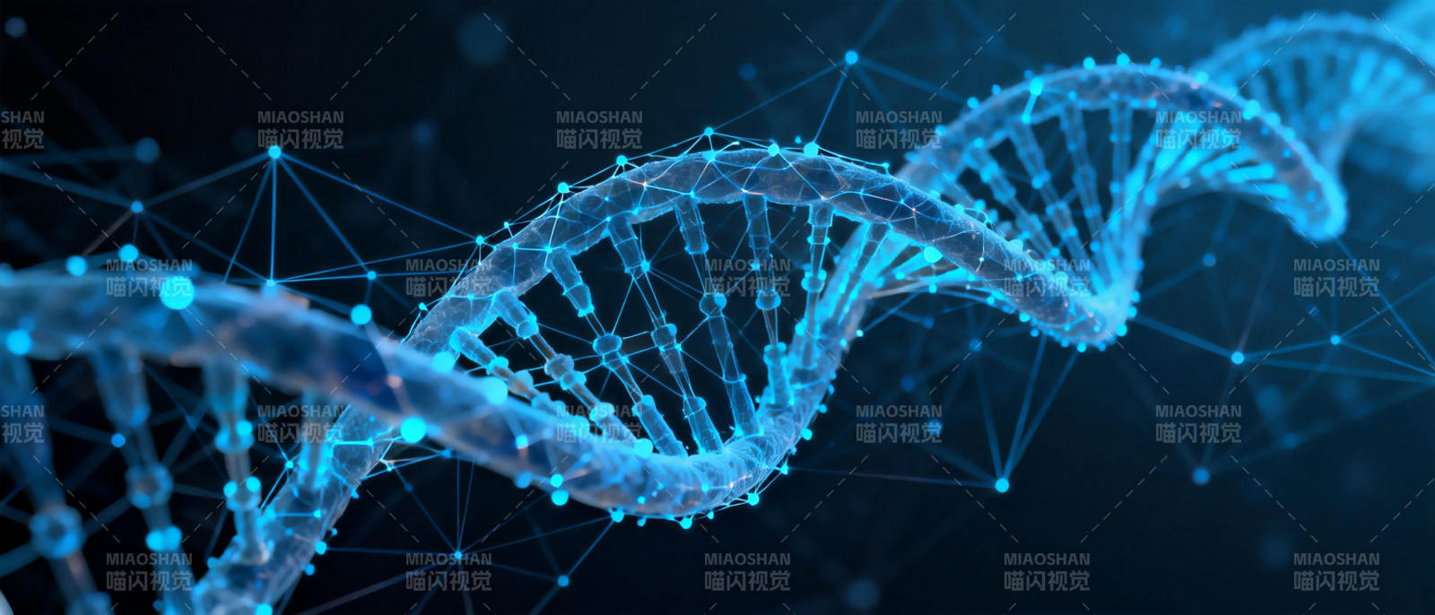 DNA双螺旋结构图片