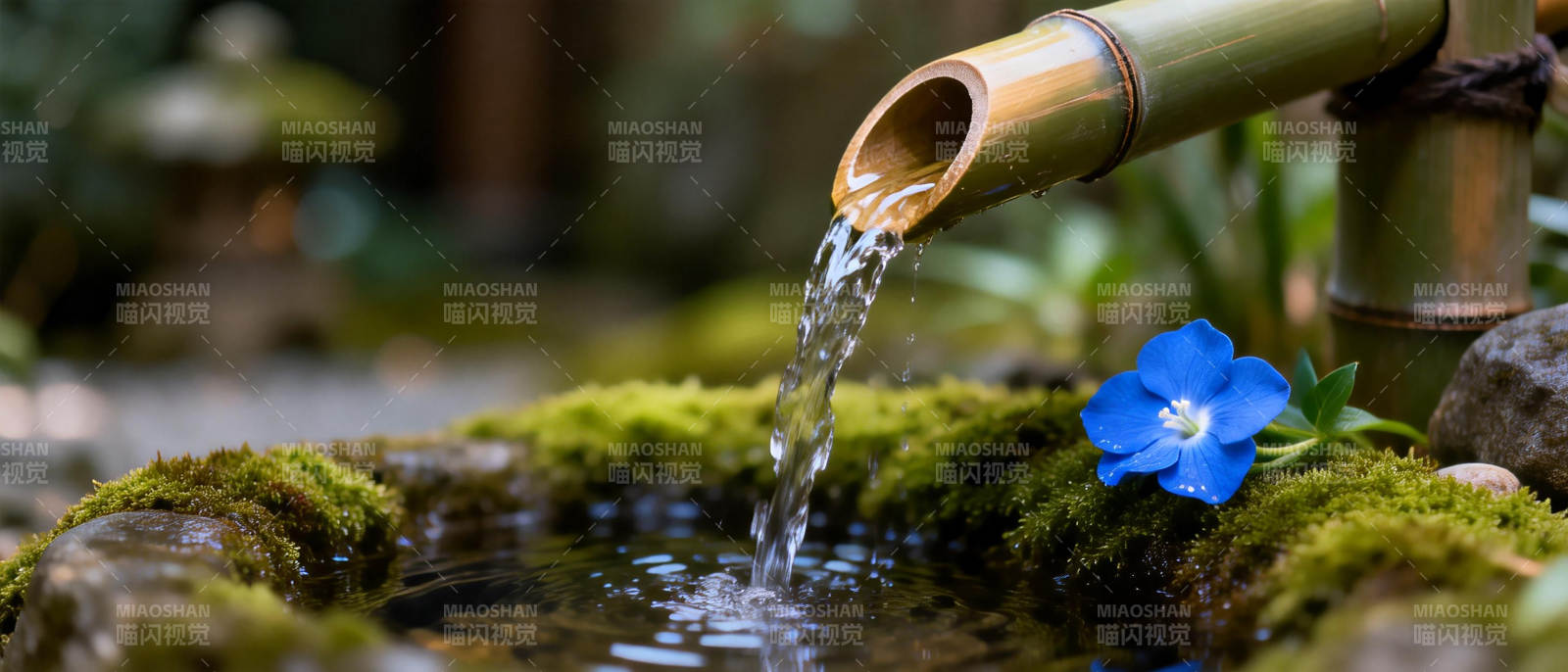 竹流清泉映蓝花图片