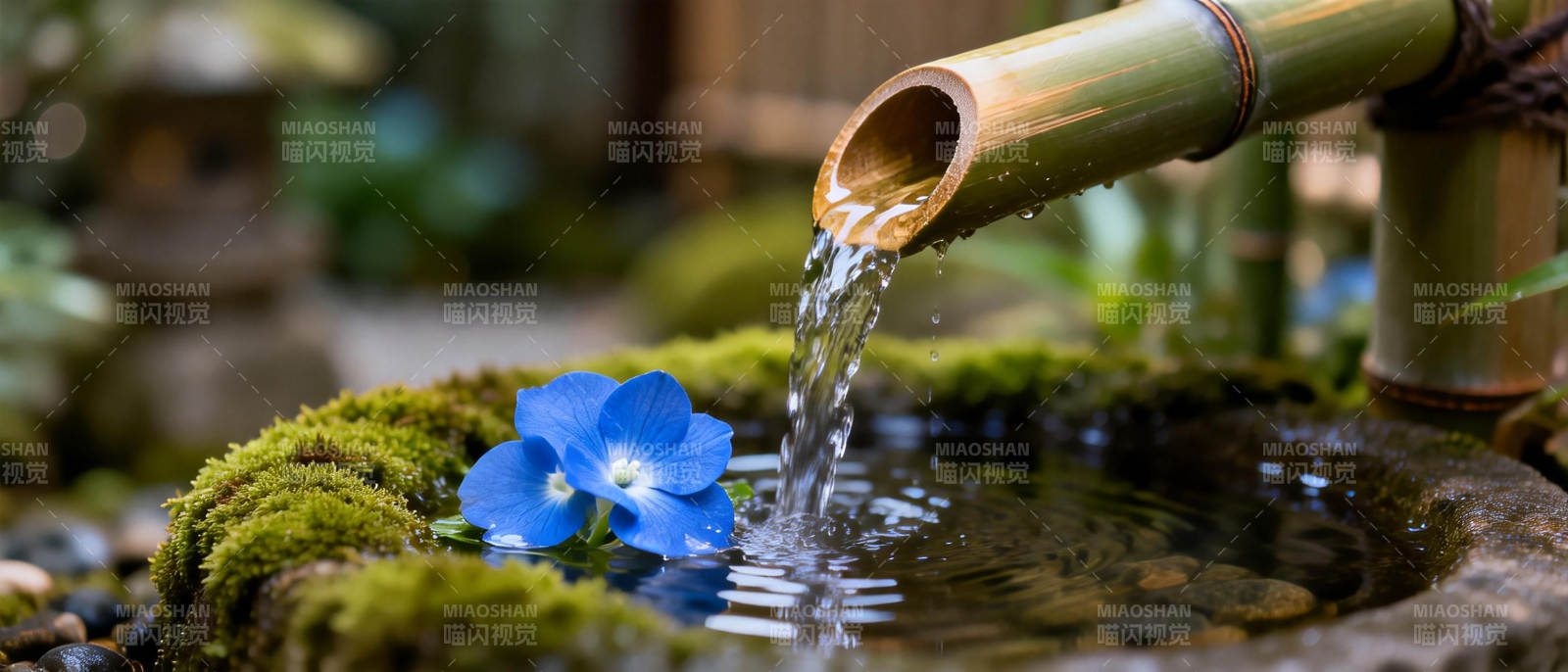 竹泉映蓝花图片