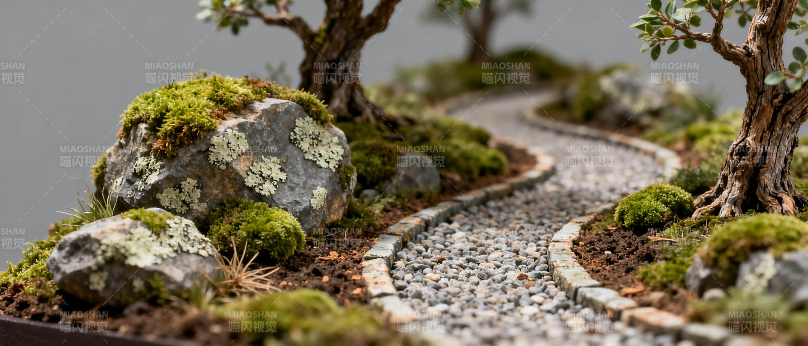 微型园林小径图片