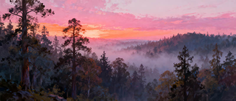 晨雾森林日出图片
