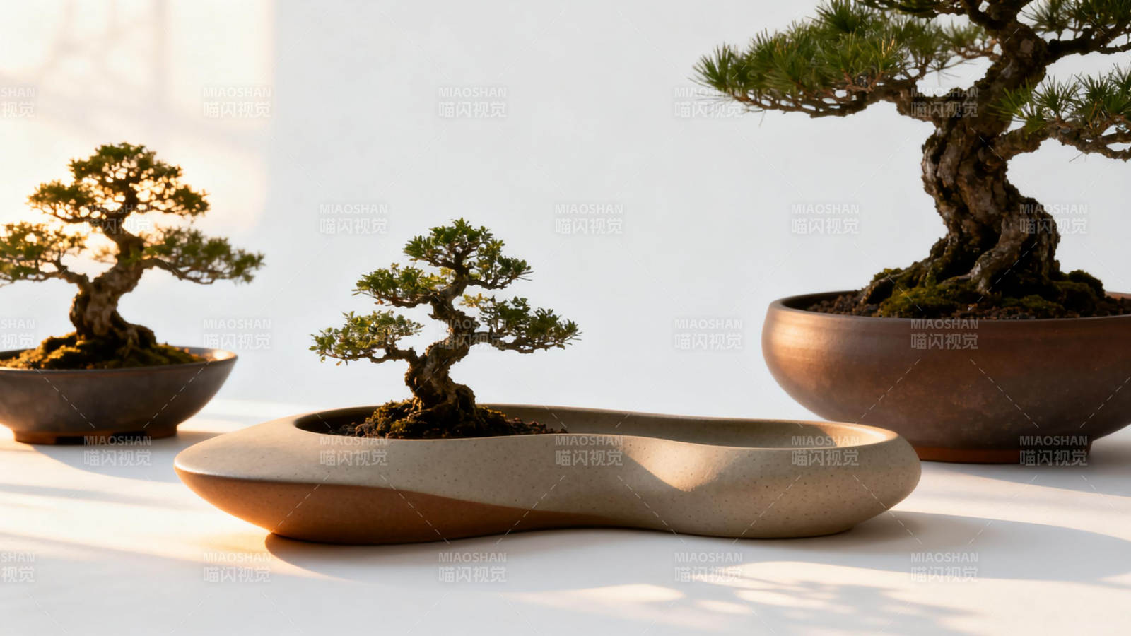 盆景雅韵图片