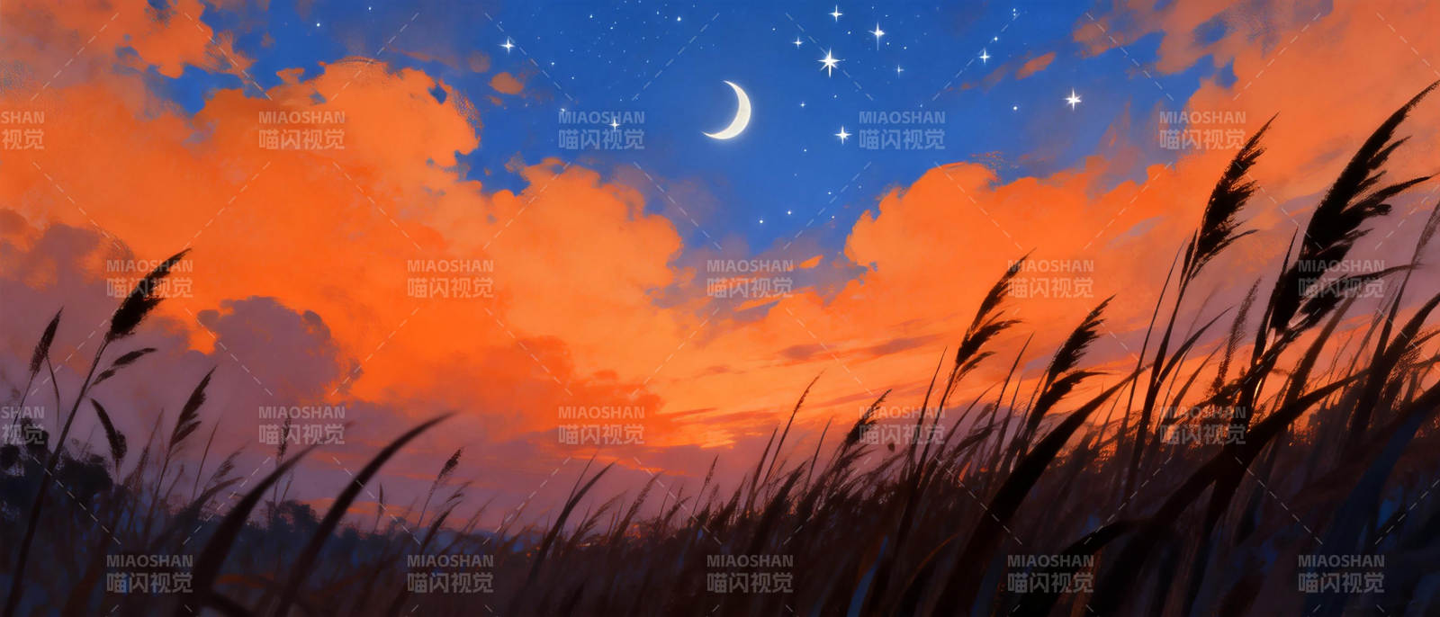 暮色星夜草影图片