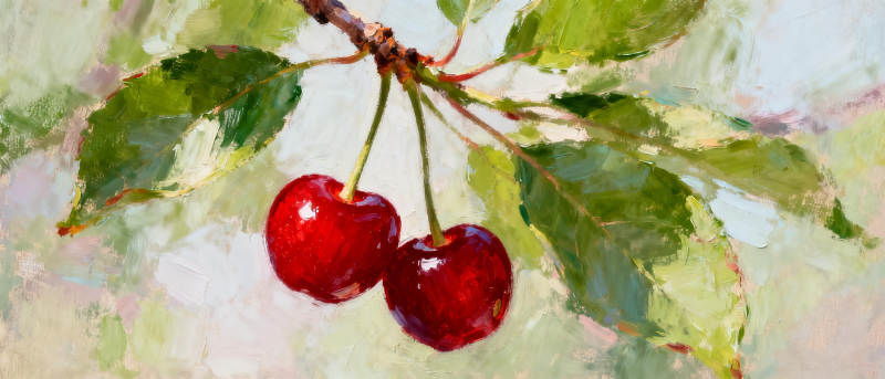 红樱桃枝头挂图片