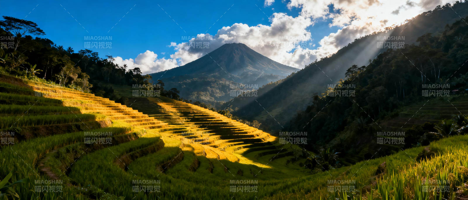 梯田晨光山影图片
