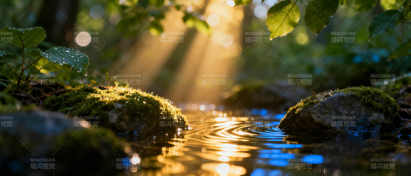 溪流晨光图片