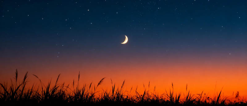 月升草野夜图片