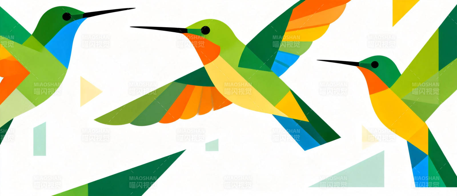 彩羽蜂鸟飞翔图片