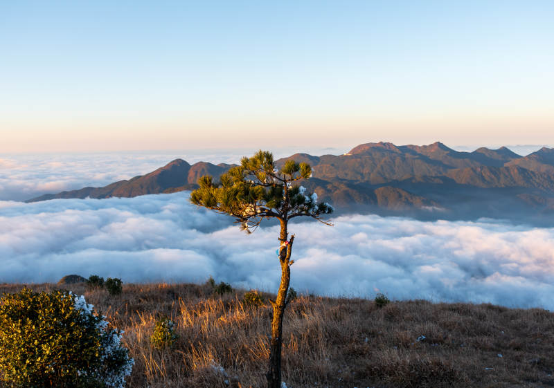 石谷解云海松影图片