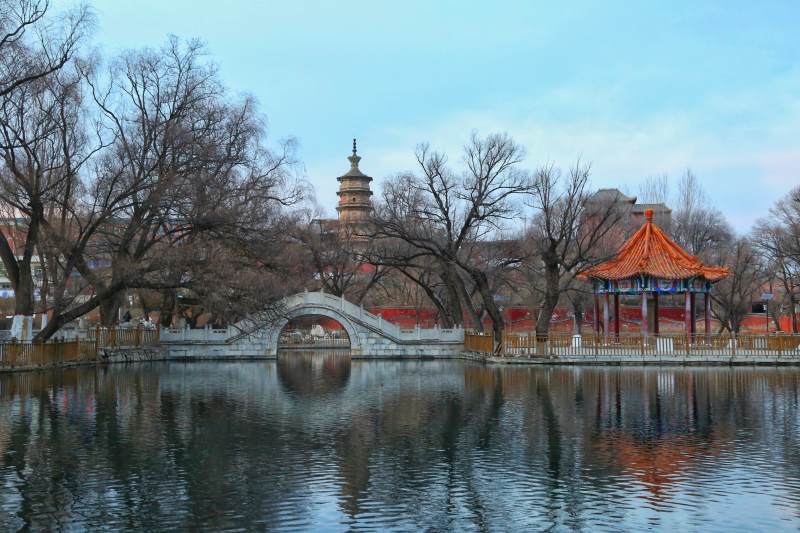 湖畔古塔映春景图片