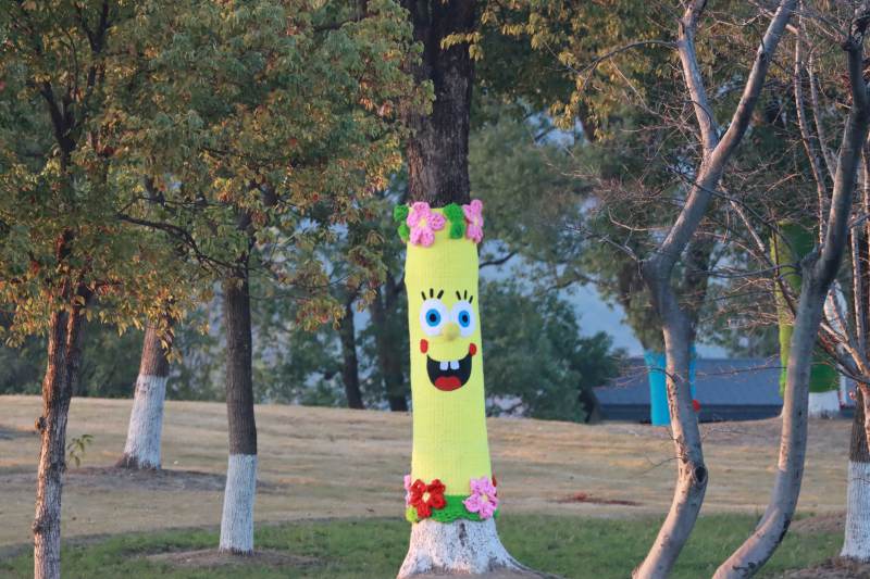 树干上的海绵宝宝图片