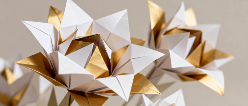 折纸花绽放之美图片