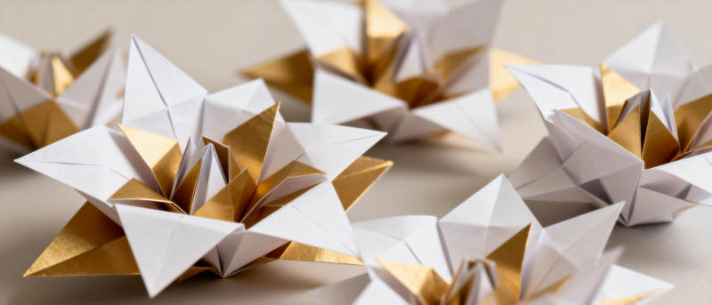 折纸花绽放图片