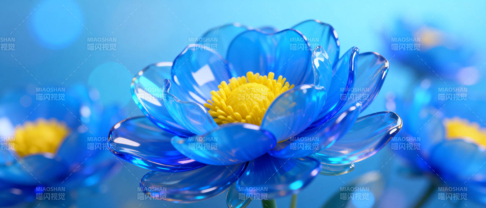 蓝晶莲花绽放图片