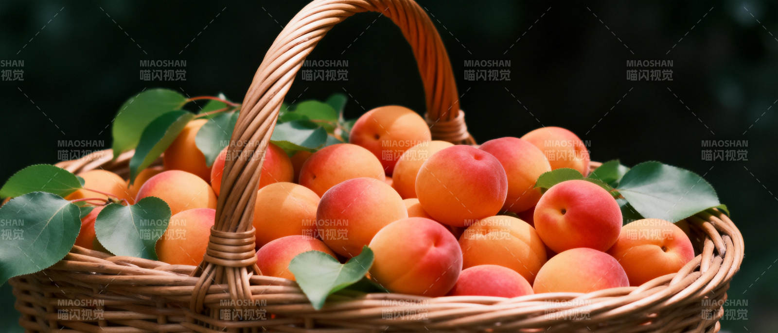 篮中新鲜杏子图片