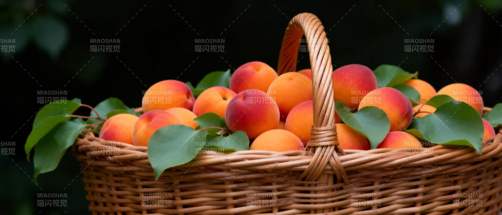 篮中新鲜杏子图片