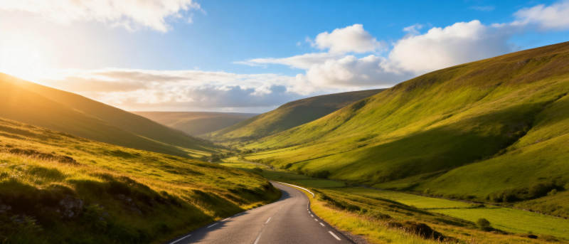 绿野长路 夕阳映照图片