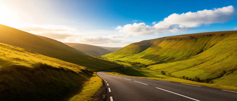 绿野公路晨光图片