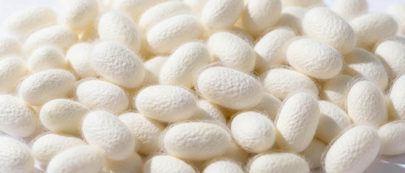 蚕茧堆叠特写图片