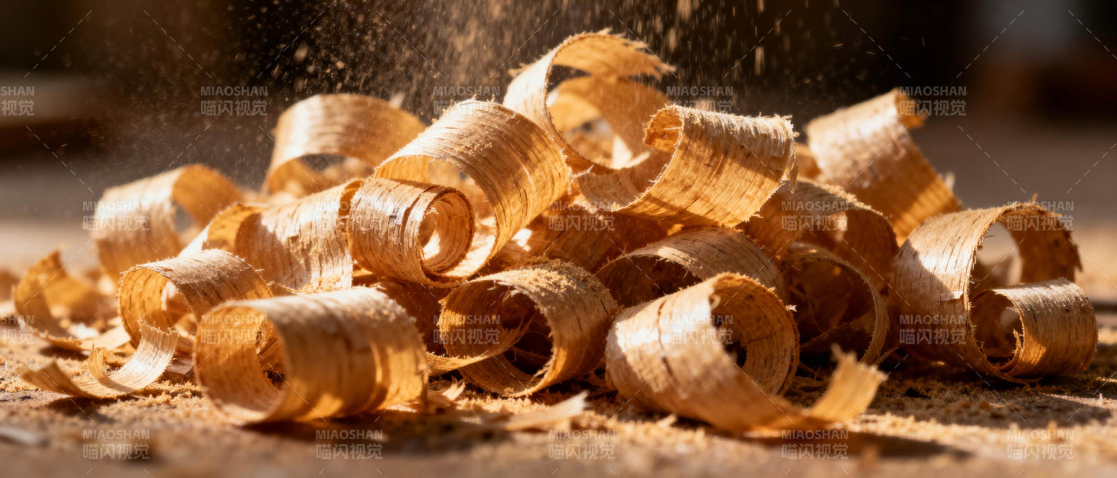 木屑飞舞图片