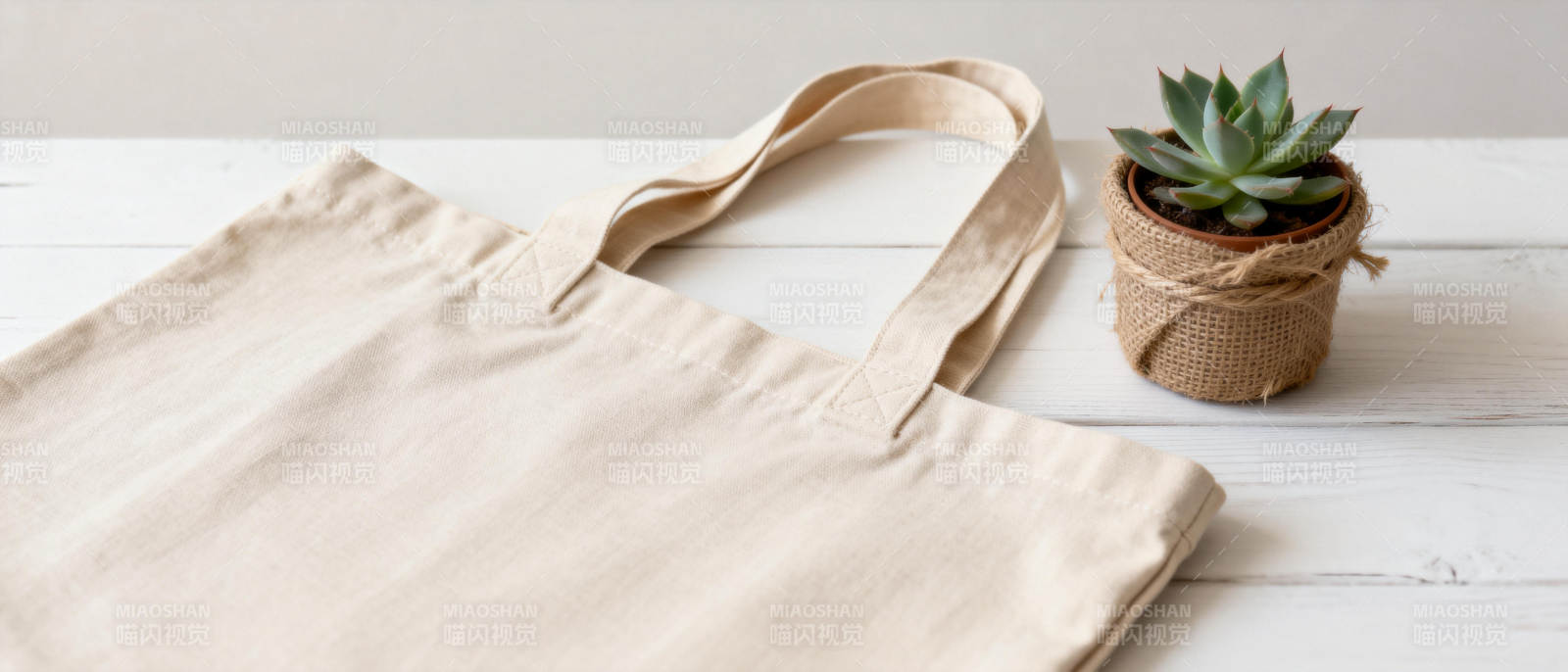 简约帆布包与多肉植物图片