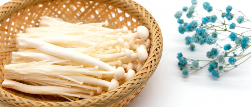 金针菇与蓝花图片