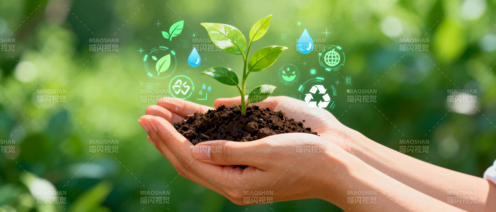 绿色未来 手护新生图片