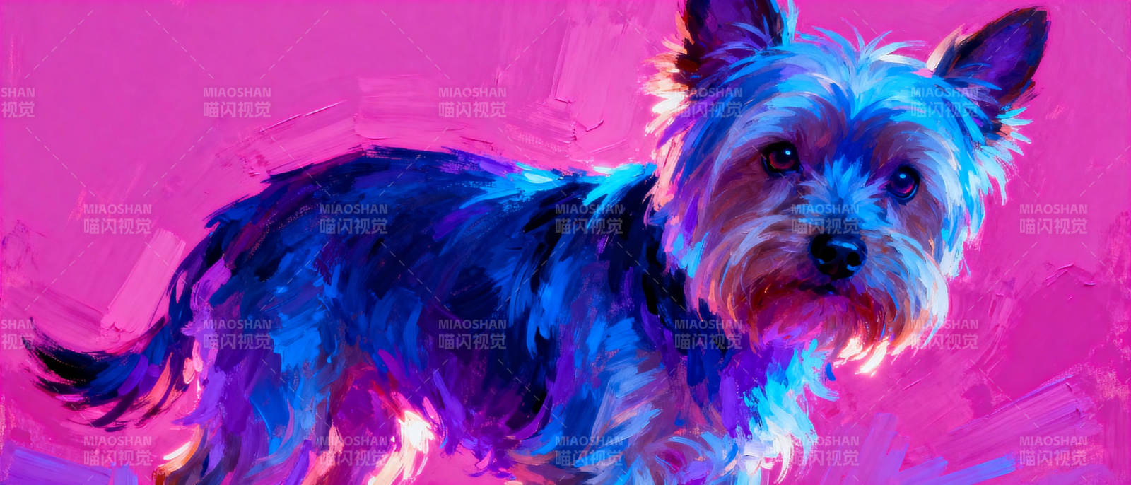 炫彩约克夏犬图片